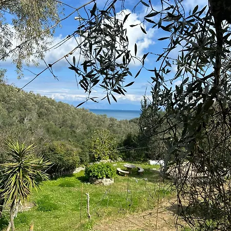 Dellis Corfu - Sea Views Near The